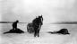 David Johnston and Maude (the horse) with moose kill.