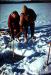 Dora Johns and Patsy Henderson chopping hole for fish net.